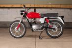 Moto Guzzi Stornello Scrambler America 125, 1 cylindre, 125 cm³