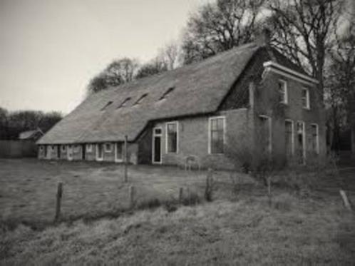 Hoeve te huur gevraagd, Immo, Huizen te huur