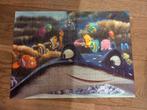 Puzzel funding nemo, Ophalen of Verzenden