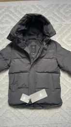 Doudoune Canada Goose, Kleding | Heren, Jassen | Winter, Ophalen of Verzenden, Zo goed als nieuw