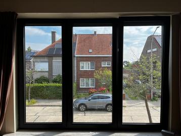 Nieuwe set ramen (11) en deuren (2) - geplaatst in 2023 beschikbaar voor biedingen