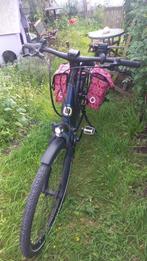 Giant elektrische fiets, Fietsen en Brommers, Elektrische fietsen, Ophalen, Giant, Zo goed als nieuw, 51 tot 55 cm