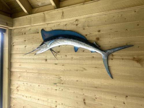 Blue Marlin / Blauwe Marlijn - Fiberglass replica, Verzamelen, Dierenverzamelingen, Nieuw, Opgezet dier, Ophalen