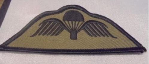 Brevet Para-A bruin, Verzamelen, Militaria | Algemeen, Landmacht, Embleem of Badge, Ophalen of Verzenden