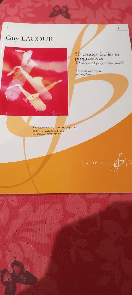 BLAASINSTRUMENTEN LESBOEKEN, Muziek en Instrumenten, Blaasinstrumenten | Trompetten, Zo goed als nieuw, Ophalen