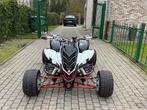 Yamaha raptor 700r GEKEURD!, Motoren