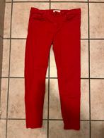 Pantalon Springfield, Comme neuf, Taille 38/40 (M), Springfield, Rouge