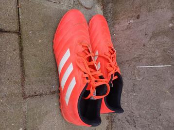 Chaussure de foot/Magre beschikbaar voor biedingen