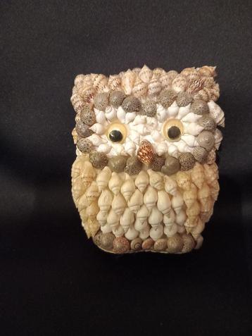 Een uiltje bekleed met schelpjes. beschikbaar voor biedingen