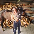 Therapie met hond , paard of konijntjes, Ophalen of Verzenden