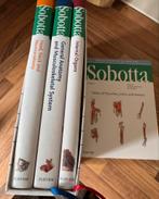 Sobotto geneeskunde boeken, Ophalen, Zo goed als nieuw