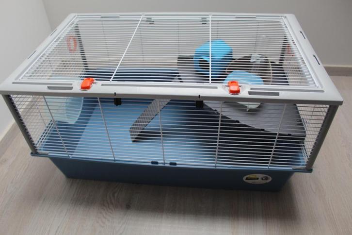 Hamsterkooi + toebehoren, Dieren en Toebehoren, Knaagdieren en Konijnen | Hokken en Kooien, Gebruikt, Kooi, Minder dan 60 cm, 75 tot 110 cm