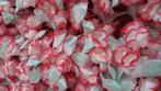 zijden bloemetjes rood/roze/blauw, Ophalen of Verzenden