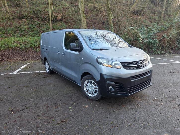 Opel vivaro, Autos, Camionnettes & Utilitaires, Particulier, Opel, Diesel