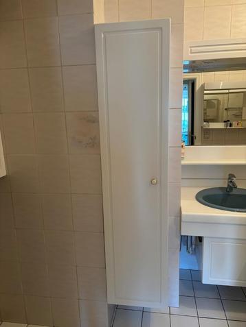 Retro, vintage kolomkast badkamer, Ophalen, Minder dan 50 cm, Gebruikt, 150 tot 200 cm