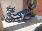 HONDA FORZA NSS 300, Motoren, Motoren | Honda, Cardan-aandrijving, Scooter, 300 cc, Particulier