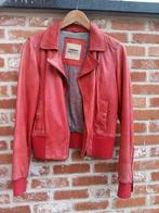 Lamslederen jas 36 oakwood, Kleding | Dames, Oakwood, Ophalen of Verzenden, Maat 36 (S), Rood