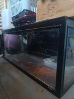 terrarium 120x60x52, Dieren en Toebehoren, Ophalen, Gebruikt, Terrarium of Paludarium