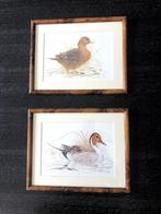 Frame met eend, Ophalen, Nieuw