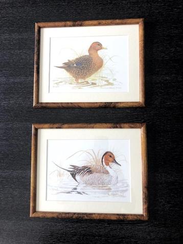 Frame met eend beschikbaar voor biedingen