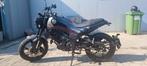 Benelli Leoncino 125 CC, Motoren, Motoren | Benelli, Particulier