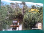 Camel briquet tempête - publicité papier - 1989, Collections, Marques & Objets publicitaires, Enlèvement ou Envoi, Utilisé, Autres types