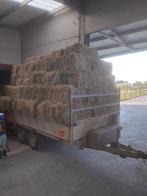 80 Kleine botten hooi, Dieren en Toebehoren, Ophalen, Vee
