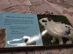 Voelboekje zachte dieren, Ophalen of Verzenden, Gelezen, Schwager & Steinlein Verl, 1 tot 2 jaar