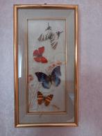 Papillons sous verre, Collections, Collections Animaux, Enlèvement, Comme neuf, Insecte, Autres types