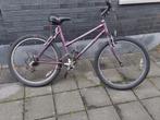 Mountainbike, Fietsen en Brommers, Ophalen, Gebruikt, Meer dan 20 versnellingen