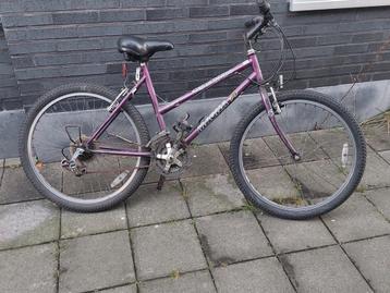 Mountainbike  beschikbaar voor biedingen