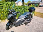 Honda Forza 125 cc, Motoren, Motoren | Honda, Particulier, 125 cc