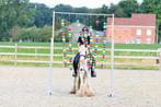 Leuke Kinderpony, Dieren en Toebehoren, Ruin