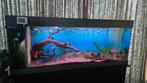 Aquarium te koop, Ophalen, Zo goed als nieuw