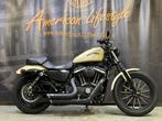 Harley-Davidson Chopper Sportster 883 Iron XL883N, Motos, Motos | Harley-Davidson, Entreprise, Plus de 35 kW, 883 cm³, Autre