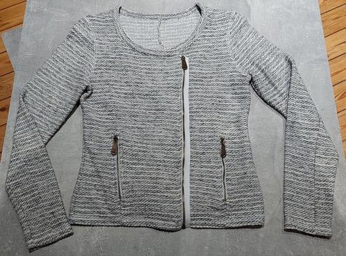 Veste,gilet à tirette gris clair pour femme TMedium., Vêtements | Femmes, Pulls & Gilets, Comme neuf, Taille 38/40 (M), Gris, Enlèvement ou Envoi