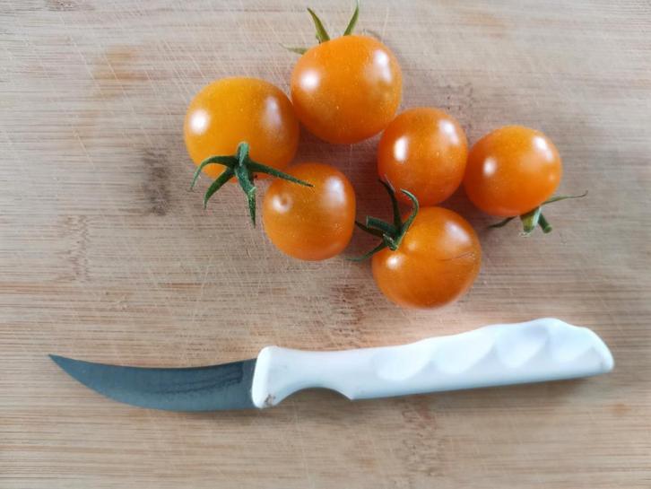 tomate Goldiana, orange, tomate cerise - 5 graines, Jardin & Terrasse, Bulbes & Semences, Graine, Printemps, Plein soleil, Envoi