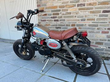 Monkey beschikbaar voor biedingen