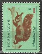 Bulgarije 1963 - Yvert 1176 - Wilde Dieren - Eekhoorn (PF), Bulgarie, Envoi, Non oblitéré