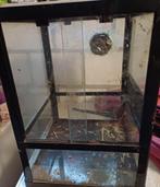 Terrarium, Ophalen, Gebruikt, Terrarium of Paludarium