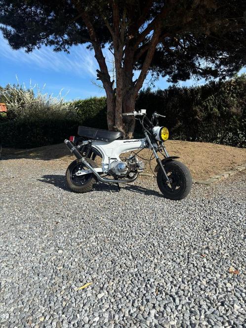 Dax B klasse 50cc, Fietsen en Brommers, Brommers | Honda, Zo goed als nieuw, Ophalen