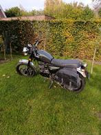 Bullet hunt 125cc, Ophalen of Verzenden
