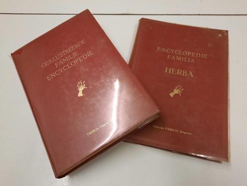 2 oude prentenboeken, jaren 50, Antiek en Kunst, Curiosa en Brocante, Ophalen of Verzenden