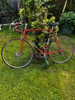 Flandria koersfiets, Fietsen en Brommers, Fietsen | Oldtimers, Ophalen