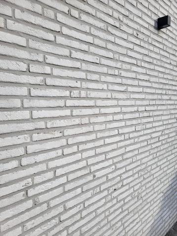 Gevelsteen Vandersanden Wapper/Rainbow white LF40-s beschikbaar voor biedingen