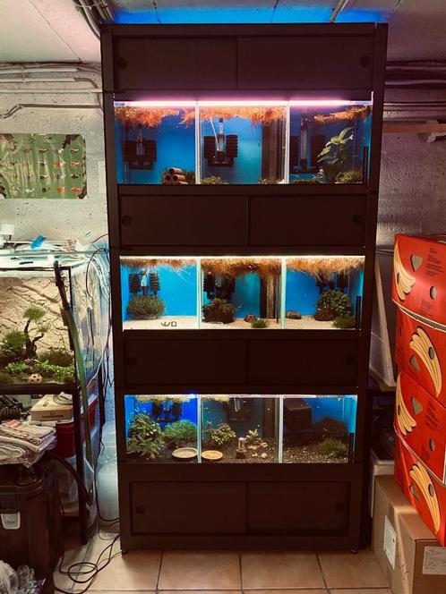 Batterie d’aquarium rack aquarium élevage crevette poisson s, Dieren en Toebehoren, Vissen | Aquaria en Toebehoren, Zo goed als nieuw