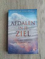 Alberto Villoldo - Afdalen in je ziel, Boeken, Ophalen of Verzenden, Gelezen
