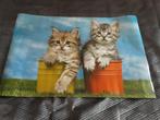grote posters dieren, Ophalen of Verzenden, Nieuw
