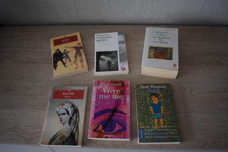 leesboekjes Frans, Boeken, Taal | Frans, Gelezen, Ophalen