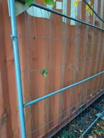 6 Heras hekken met voeten, Enlèvement